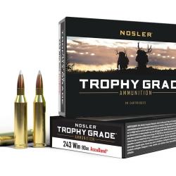 Cartouches NOSLER calibre 243 Win trophy accubond 90gr x20