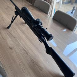 Carabine Savage