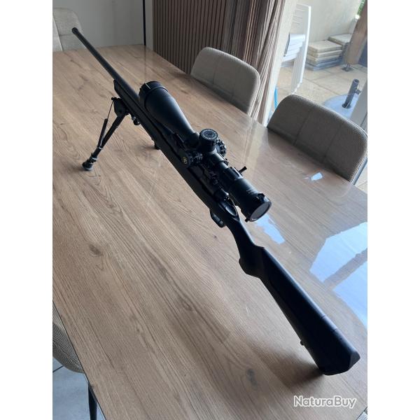 Carabine Savage