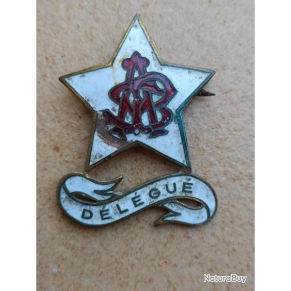 INSIGNE EMAILLEE ANCIENS INSCRIPTION DELEGUE LETTRE ROUGE  SYNDICAT MUTELLE
