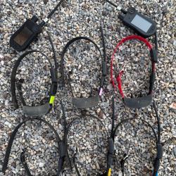 Collier dressage - rep&eacute;rage Sportdog tek 2.0