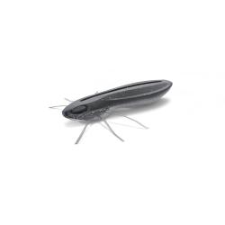 Leurre Souple Nays BG 2.5 - 6,4cm 6,4cm Par 5 C-31