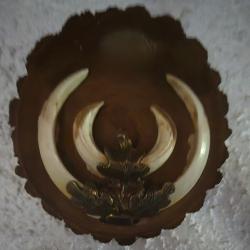 Feuille de chene pour trophee d&eacute;fense sanglier