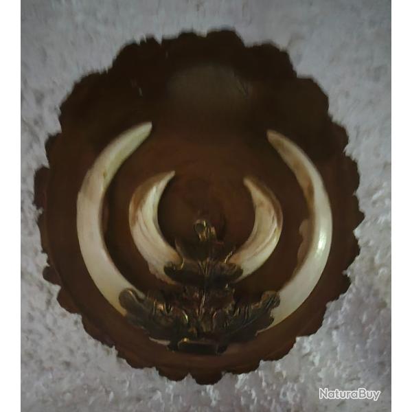 Feuille de chene pour trophee d�fense sanglier
