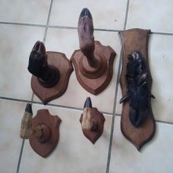 Lot de pattes en troph&eacute;e