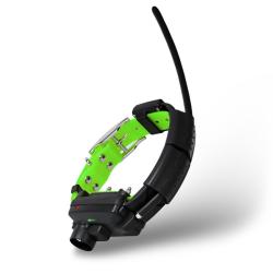 COLLIER SUPPL&Eacute;MENTAIRE POUR X30TB - DOG TRACE