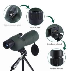 Longue Vue Grossissement Zoom 25-75x60 Optique FMC Tr&eacute;pied Inclus *Ench&egrave;re*Observation Oiseaux Cible
