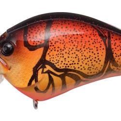 IXI BLOWLY - WILD CRAW