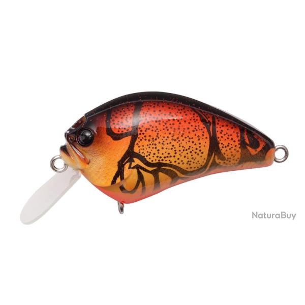 IXI BLOWLY - WILD CRAW