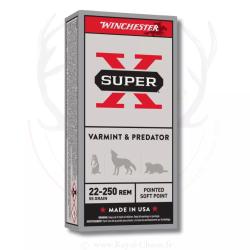 20 Balles PowerPoint Cal.22-250Rem 55grs WINCHESTER