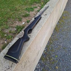 Carabine a plomb