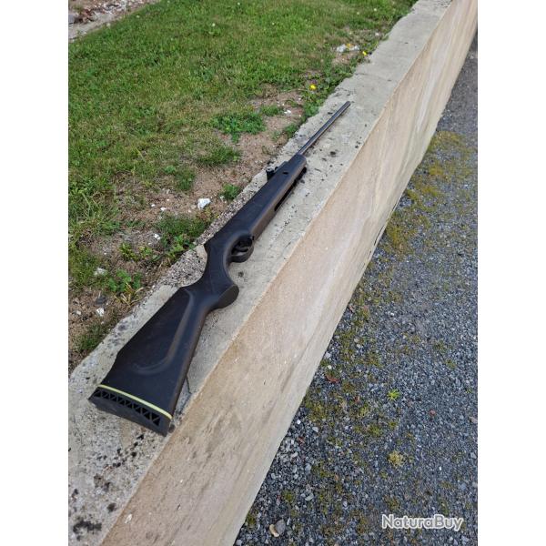 Carabine a plomb