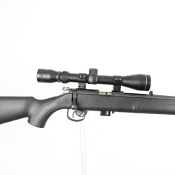 Carabine Norinco NR15 Tactique+ lunette + mallette cal. 22lr