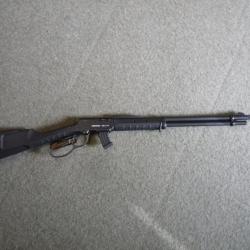 Carabine 22 lr