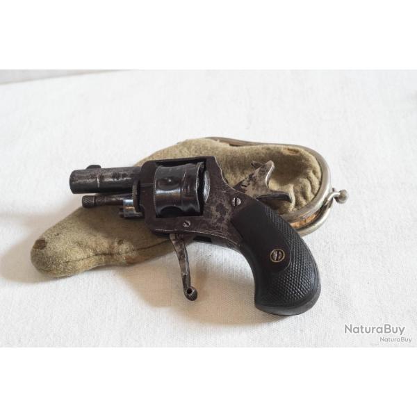 Bulldog 22 short