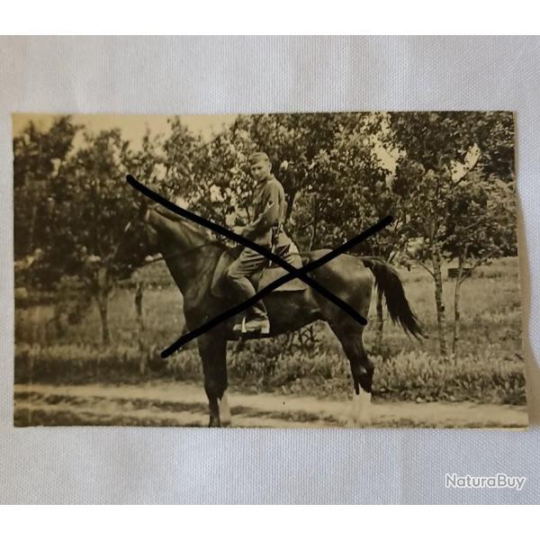 Carte photo soldat Allemand � cheval 1940 WW2