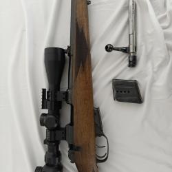 Brno 22 hornet