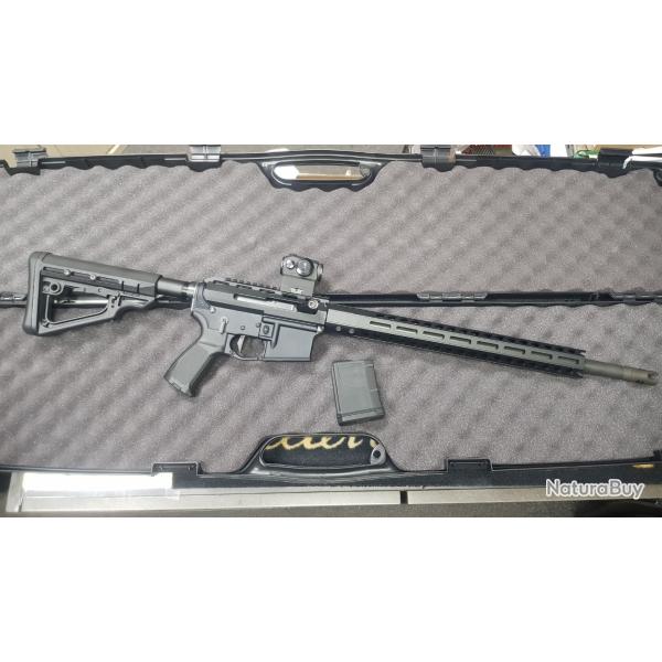 Carabine lin�aire NJ AR15 "straight pull" 300AAC Blackout + Romeo 5 occasion
