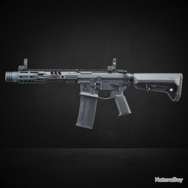Pack Complet SLR Rifleworks LT Gen 2 SD9 AEG Noir