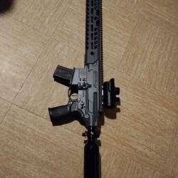 Mcx sig sauer 5.5 Pcp + compresseur Vevor&reg; 300 bar 4500 Psi.prix de d&eacute;part 1euro