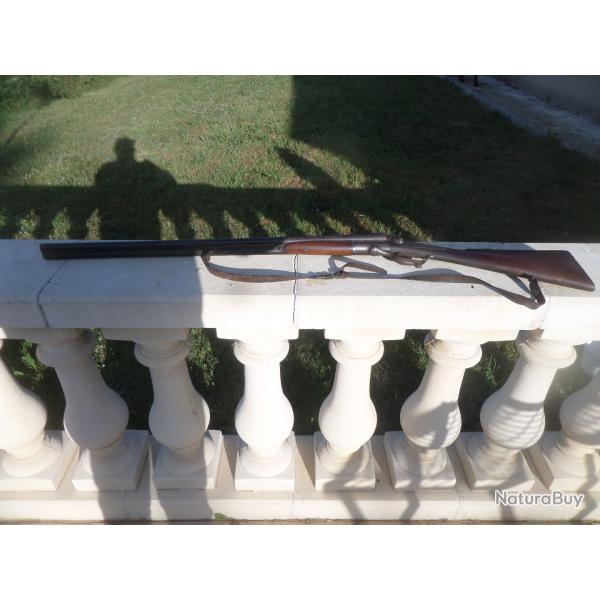 fusil a chiens
