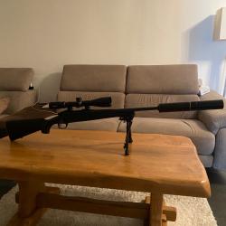 Vends Remington 243