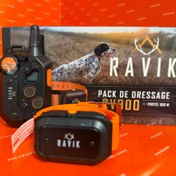 PACK COLLIER DE DRESSAGE RV900 - 1 CHIEN RAVIK