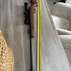 Carabine gamo Hunter 440 AS cal 4.5mm avec lunette 3-9 x 40 WR 19,9