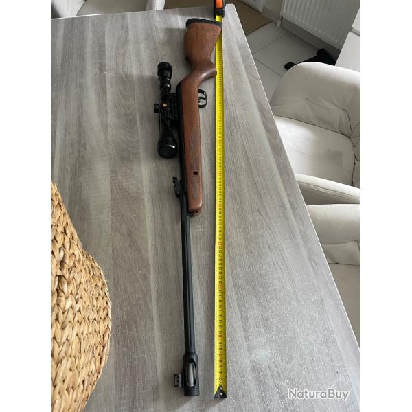 Carabine gamo Hunter 440 AS cal 4.5mm avec lunette 3-9 x 40 WR 19,9