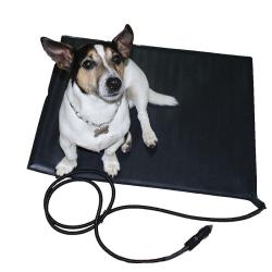 ALPENHEAT Coussin plat chauffant