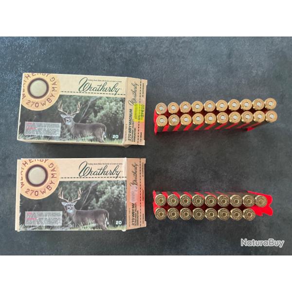 Munition 270 wby magnum weatherby