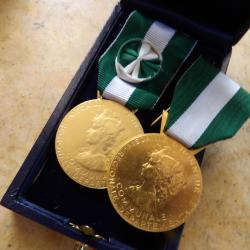 m&eacute;daille honneur communale  regionale d&eacute;partementale boite chevalier officier 1992 2000