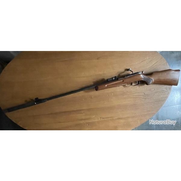 Carabine 22 Long Rifle Manu Arm avec silencieux