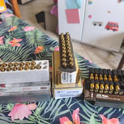 Munition 222 remington