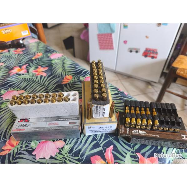 Munition 222 remington
