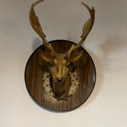 T&ecirc;te de cerf