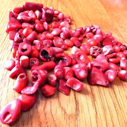 SUPERBE LOT DE 100 GRS = 500 CARATS, DE MORCEAUX DE CORAIL ROUGE POLI BRILLANT NATUREL POUR BIJOUX