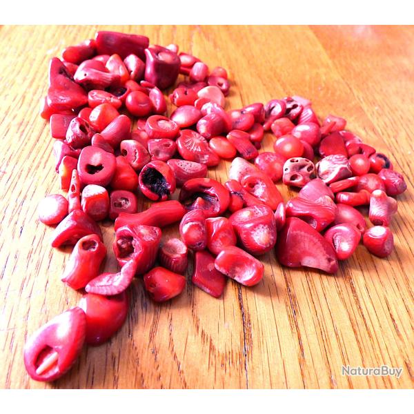 SUPERBE LOT DE 100 GRS = 500 CARATS, DE MORCEAUX DE CORAIL ROUGE POLI BRILLANT NATUREL POUR BIJOUX