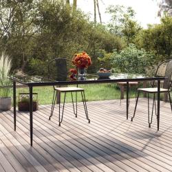 Table &agrave; d&icirc;ner de jardin Noir 200x100x74cm Acier et verre tremp&eacute;