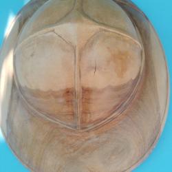 sculture casque colonial en bois