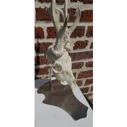 Support pi&eacute;destal trophee