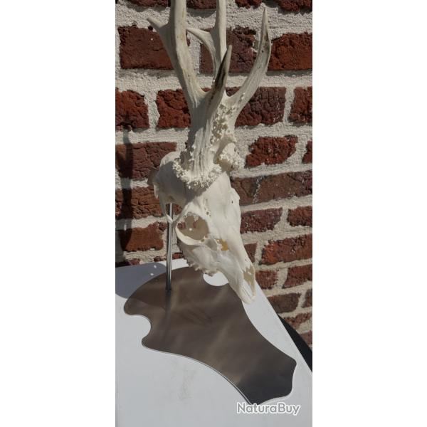 Support pi�destal trophee