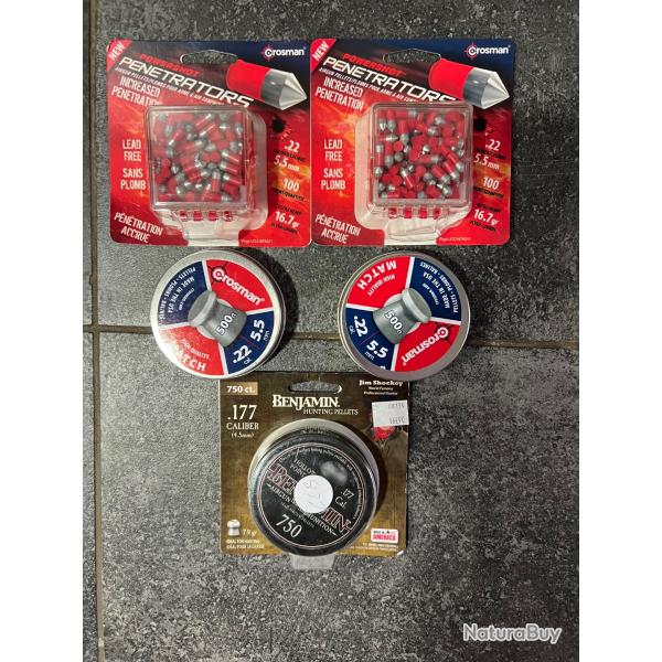 Lot plomb calibre 5,5