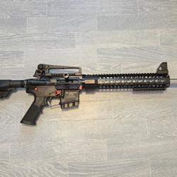 Carabine 300 BLK - RDS Industries - Action lin&eacute;aire - Cat&eacute;gorie C