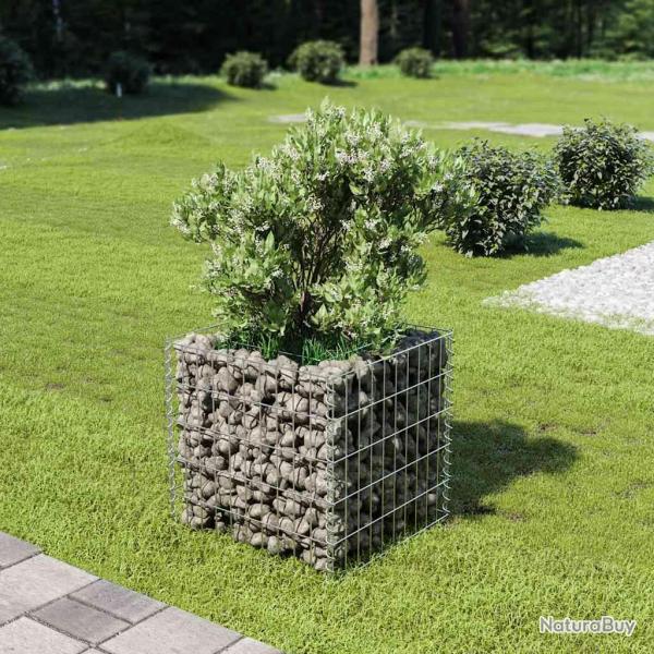 Lit sur�lev� � gabion Acier galvanis� 50x50x50 cm
