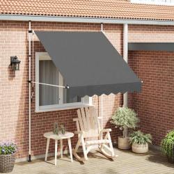 Auvent manuel r&eacute;tractable 200 cm Anthracite