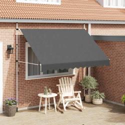 Auvent manuel r&eacute;tractable 300 cm Anthracite