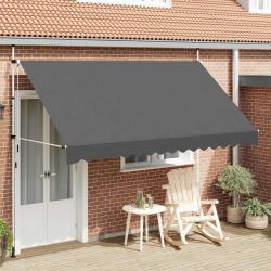 Auvent manuel r&eacute;tractable 350 cm Anthracite