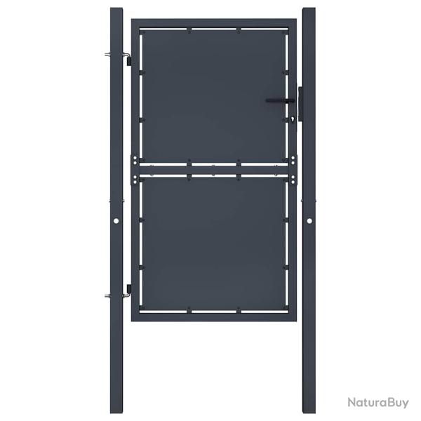 Portail de  en acier 100x150 cm anthracite