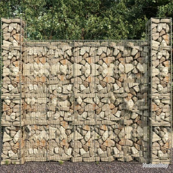 Mur en gabion avec couvercle Acier galvanis� 600 x 50 x 200 cm